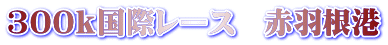 300ｋ国際レース　赤羽根港